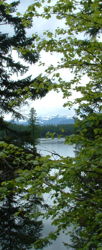 Fees and Insurance - Missoula Mindful Counseling