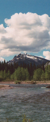 MBSR Research - Missoula Mindful Counseling